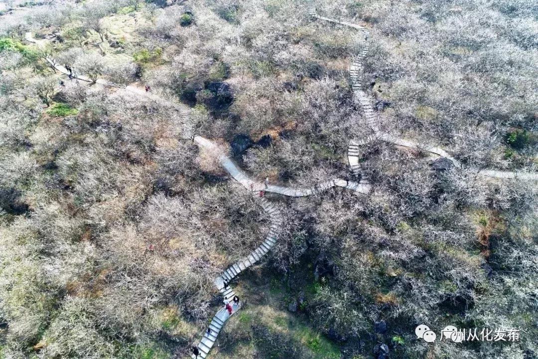 宜居宜业旅游攻略,广州从化的宜居小镇