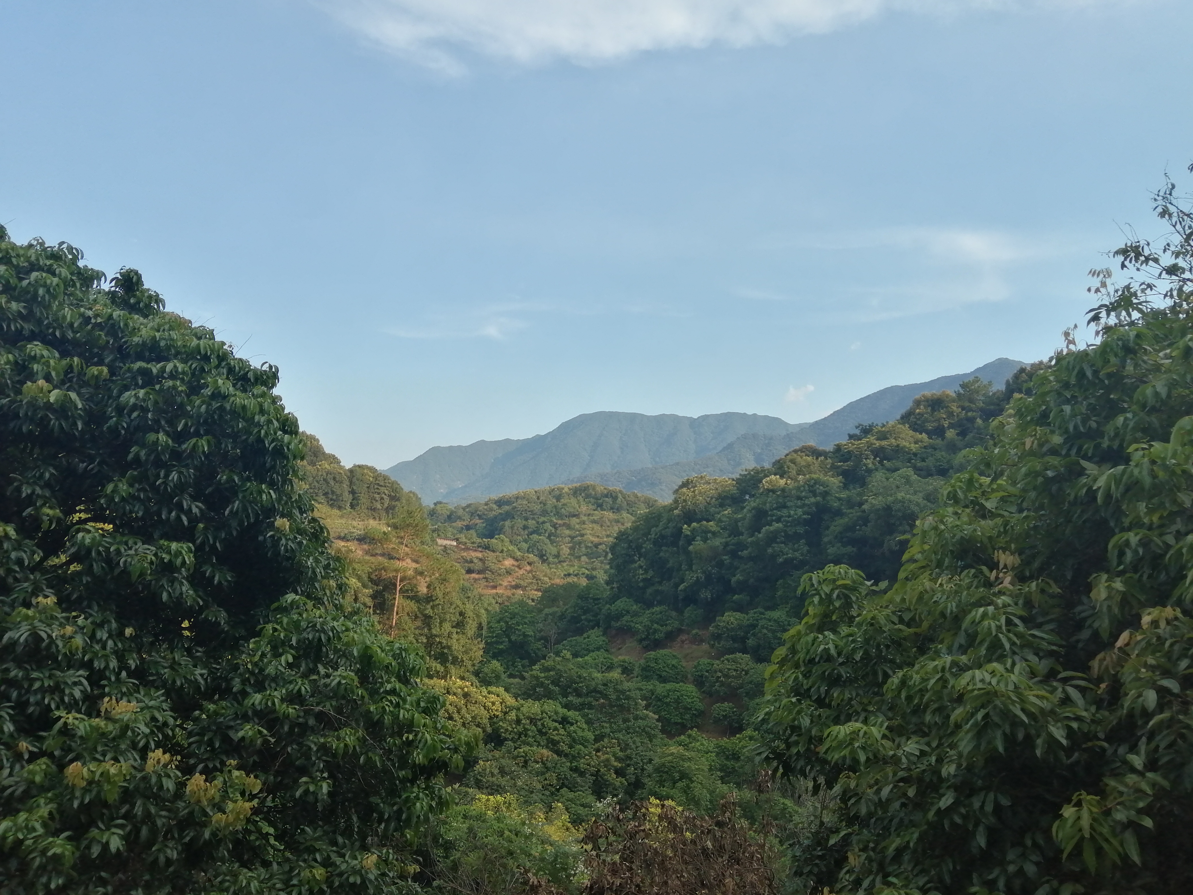 周边旅游景点推荐自驾游罗浮山,罗浮山风景区一日游攻略