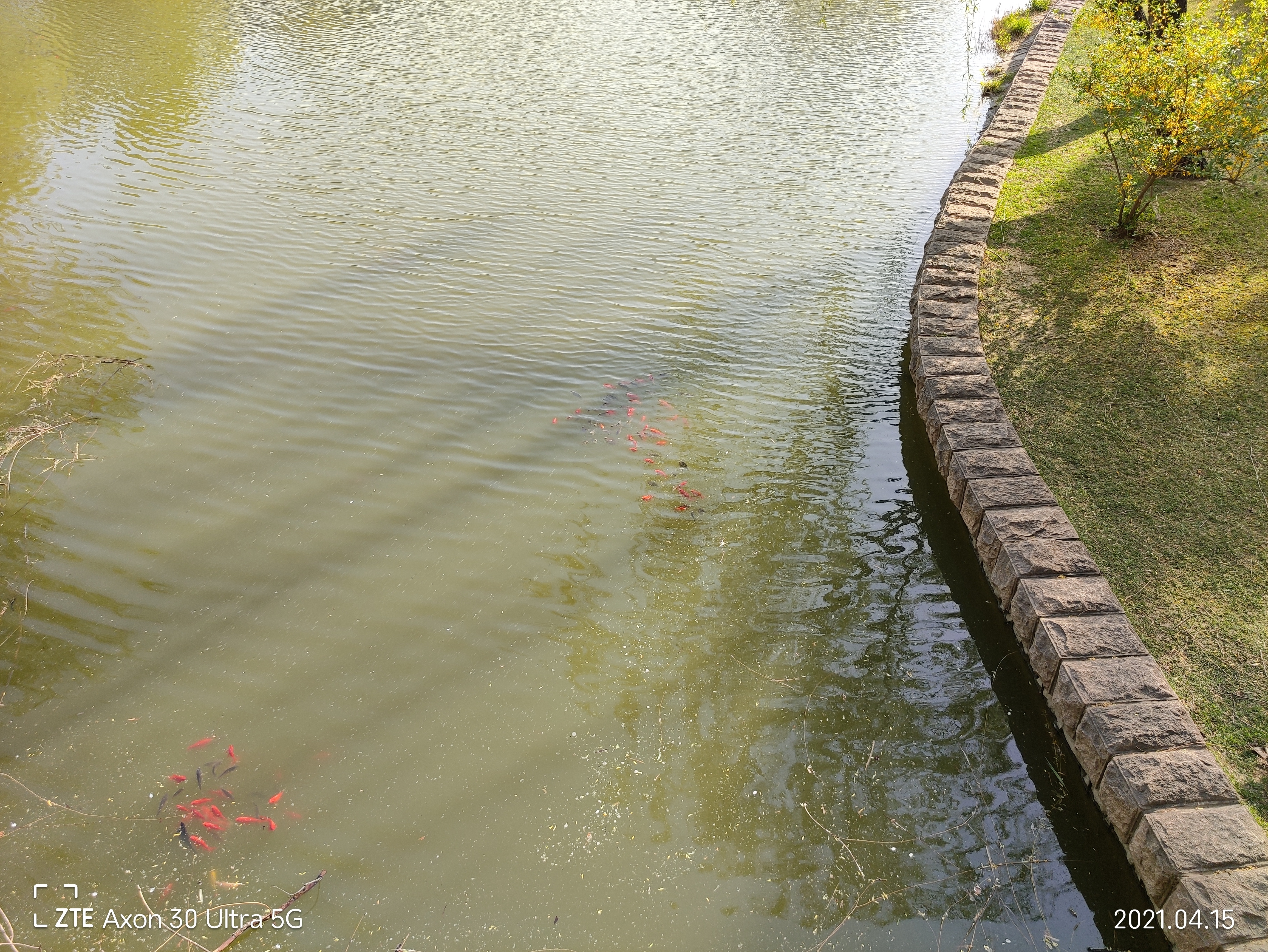 中兴axon30pro测评小白测评,中兴axon30ultra三千新机能入手吗