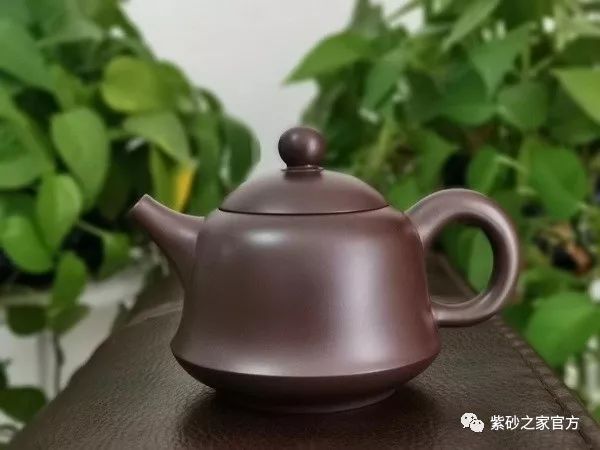 如何养壶最好的方法,壶要怎么养