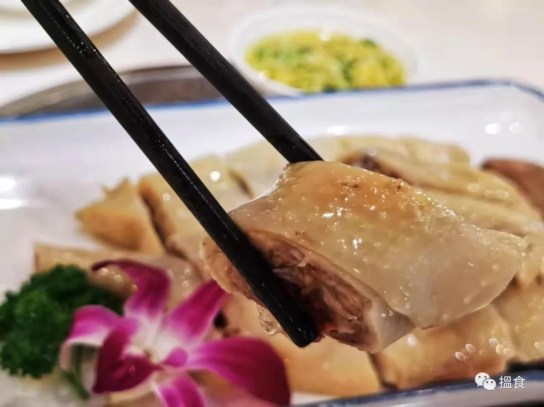 广州探店糯米鸡,广东美食探店啫啫鸡