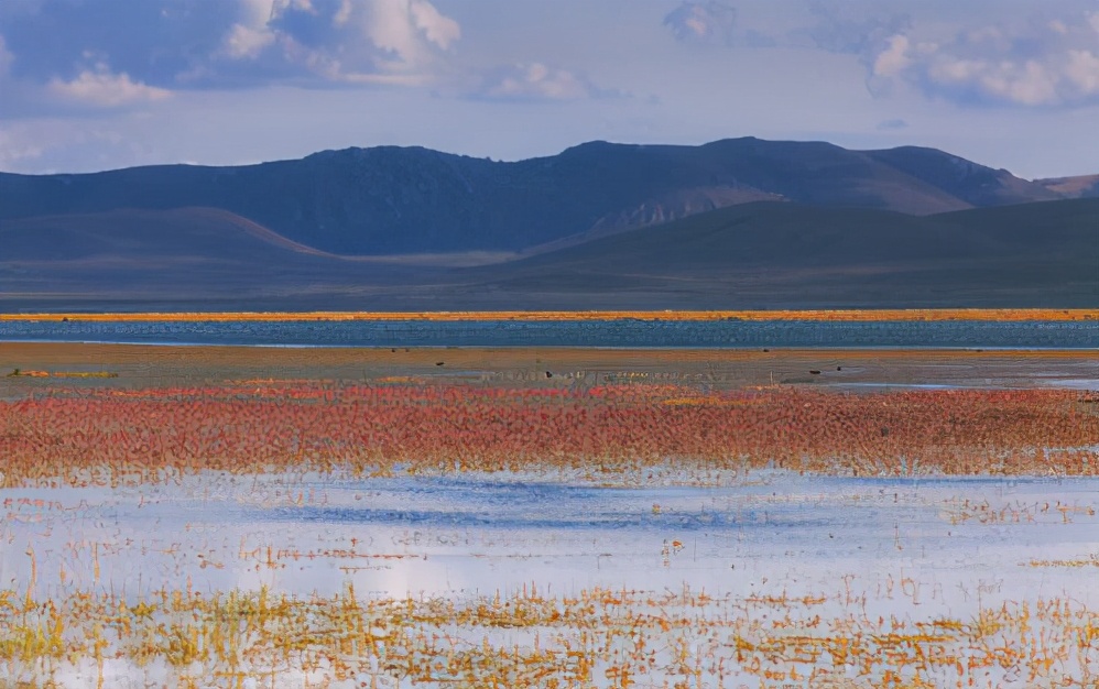 浮躁静不下心来如何自我调整,孩子学习浮躁怎么调整