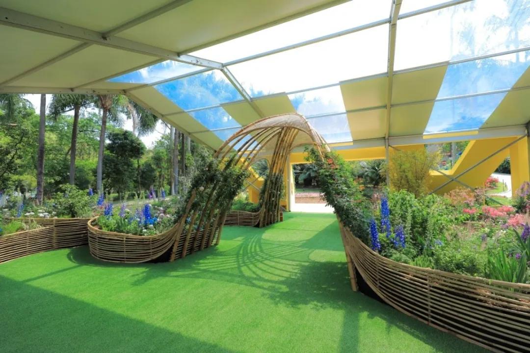 这个花展上的新优品种，为什么这么美？