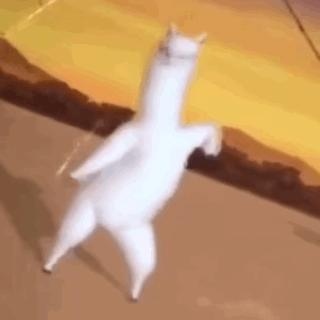 大饰所趋？不，现在时尚圈流行迷你套，连李佳琦都带货了