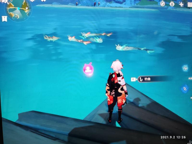 原神解锁20个鱼类图鉴怎么完成,原神最肝的世界任务
