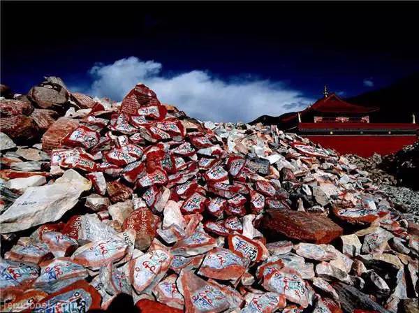 旅游禁止带什么东西,旅游景点不可带回的东西