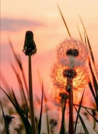 与儿子在家聊天,与儿偶遇诗句