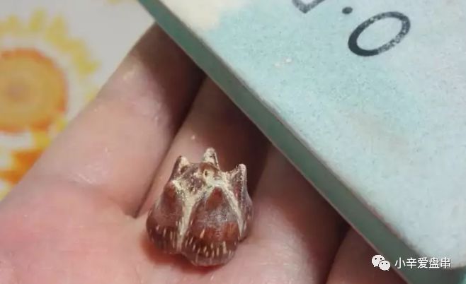 莲花和滴血莲花的区别,滴血莲花和莲花菩提区别