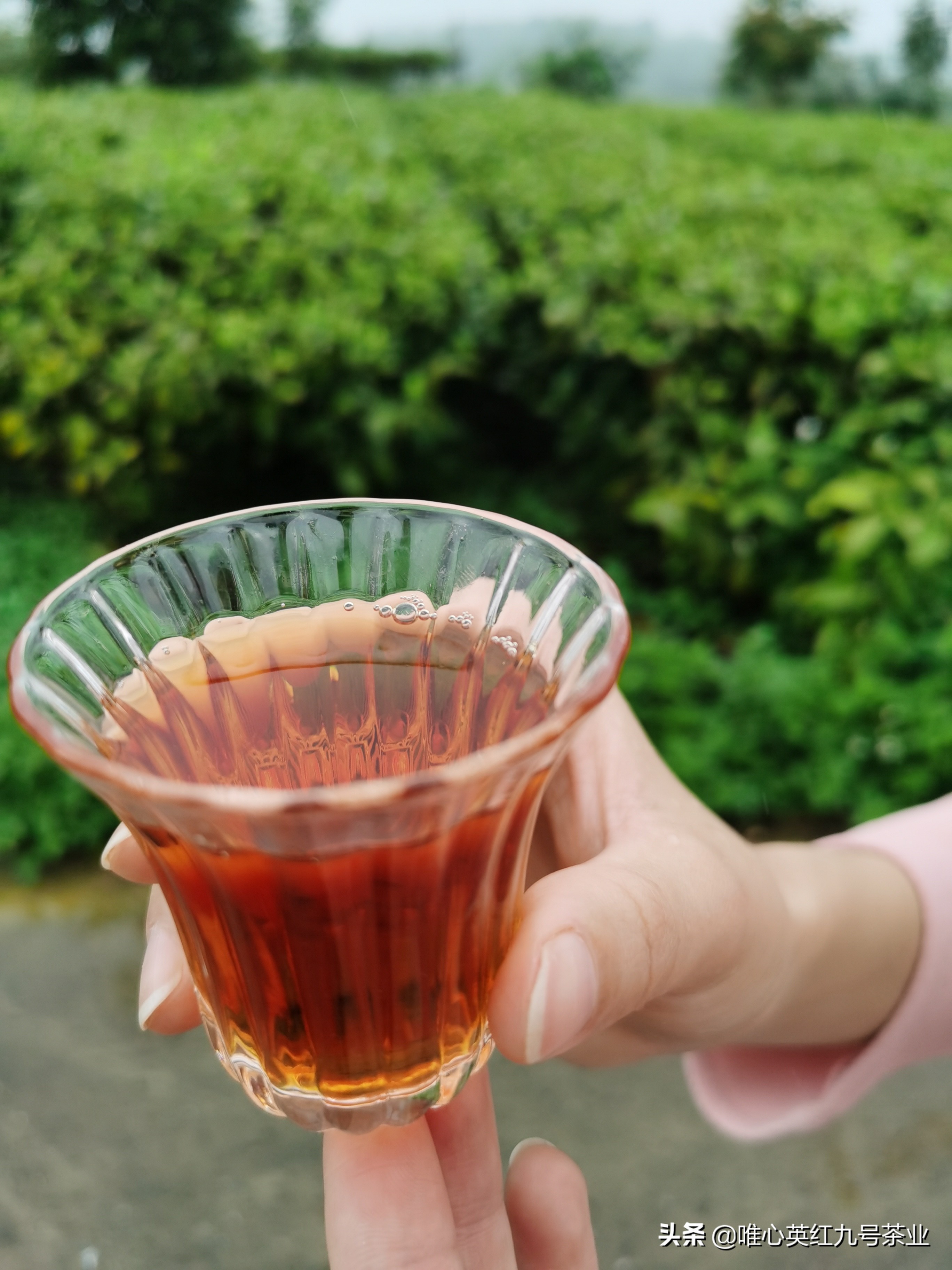 选择什么样的红茶最好,红茶怎么选择最好