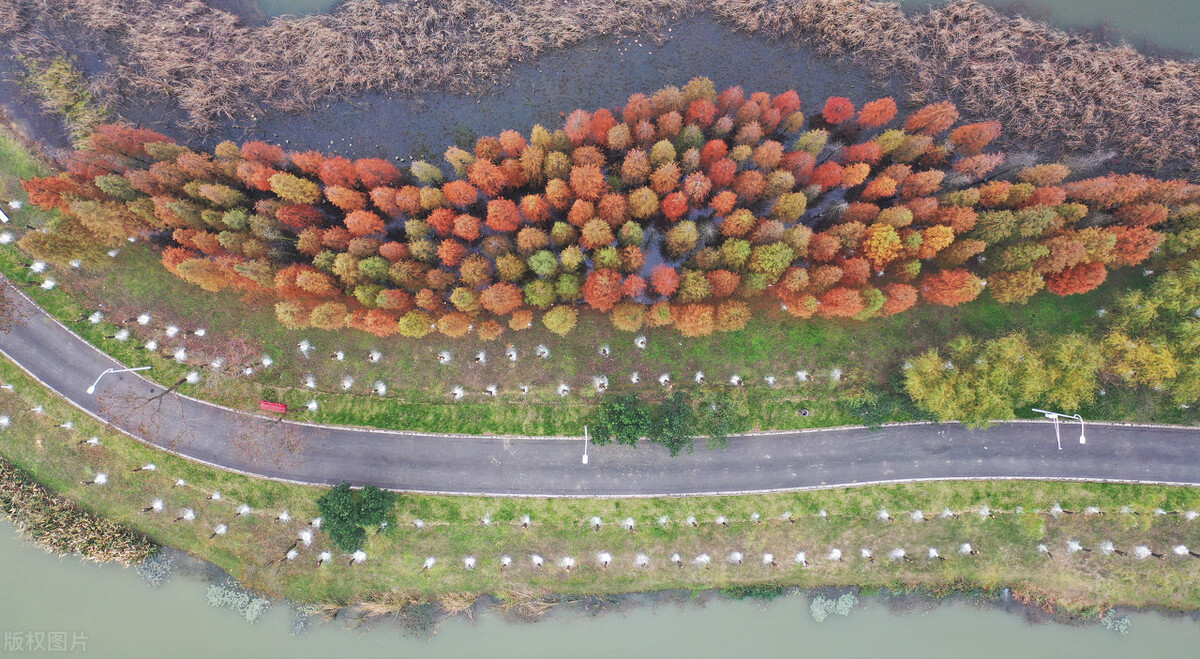 南昌高新区与九龙湖哪个有发展,南昌高新区和开发区哪个好