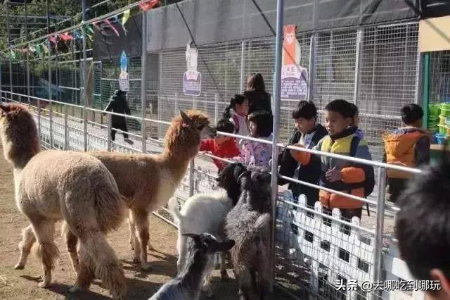 69.9抢惠州罗浮山漂流门票89元抢漂流门票+空中田园