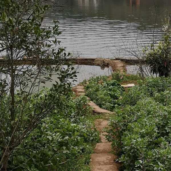 摩羊工坊测评,摩羊工坊怎么样