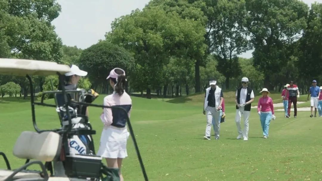 许幻山详细解析,许幻山丢高尔夫球