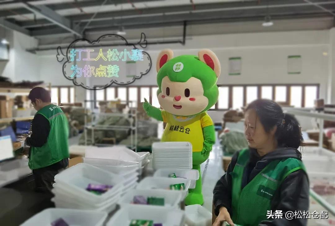 进击的松小裹丨打工人松小裹的学徒之旅