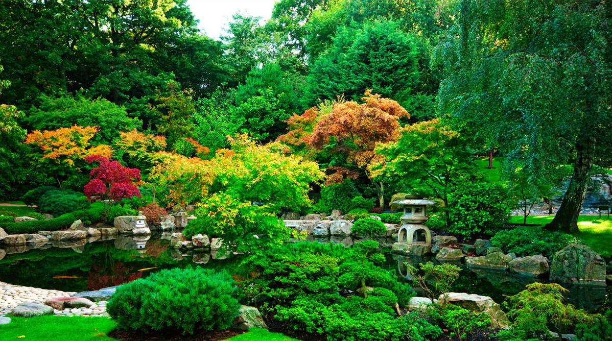 《刀光侠影》45见不平援手助弱者交朋友聚餐白矾楼