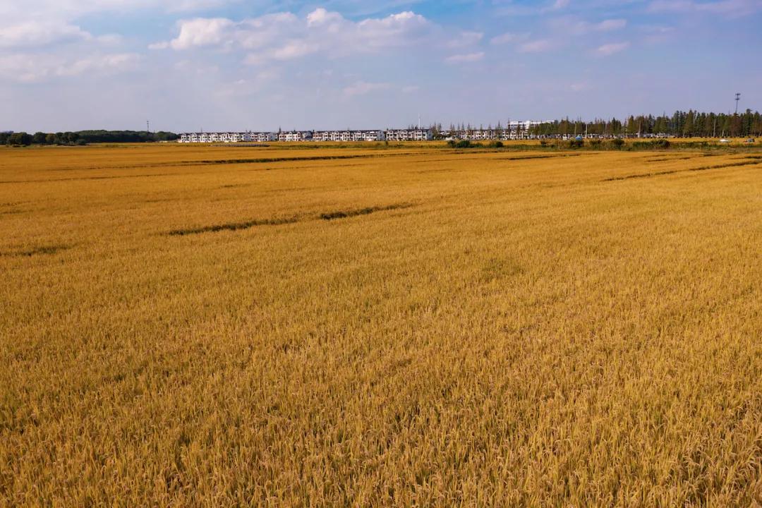 昆山限时特卖会,昆山大润发抢购