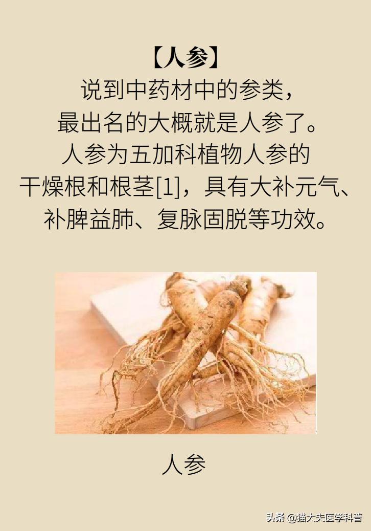 人参西洋参党参红参太子参的区别,人参红参太子参党参西洋参的区别