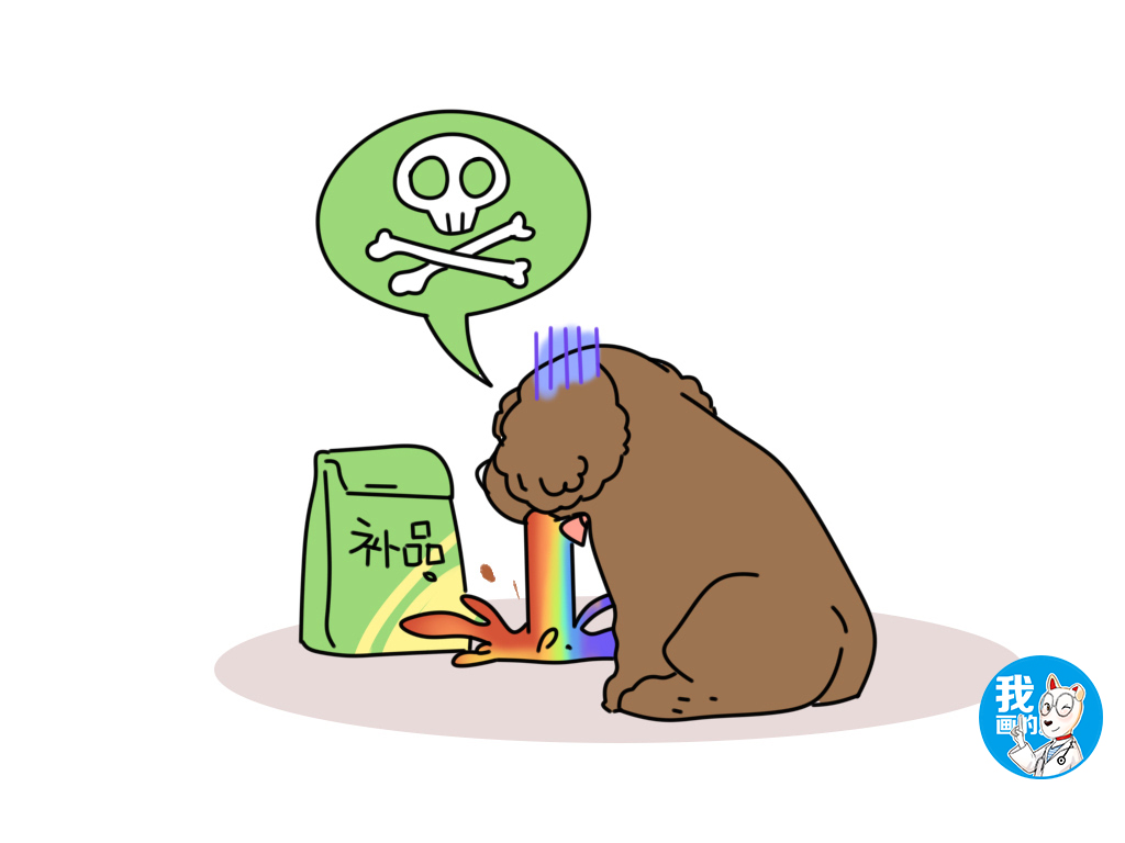 狗狗呕吐还站不稳是什么原因,狗狗呕吐怎么办教你看呕吐物判断