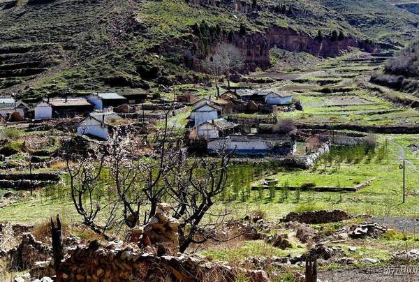 太吾绘卷伏龙坛最厉害的功法,太吾绘卷正式版武当派功法