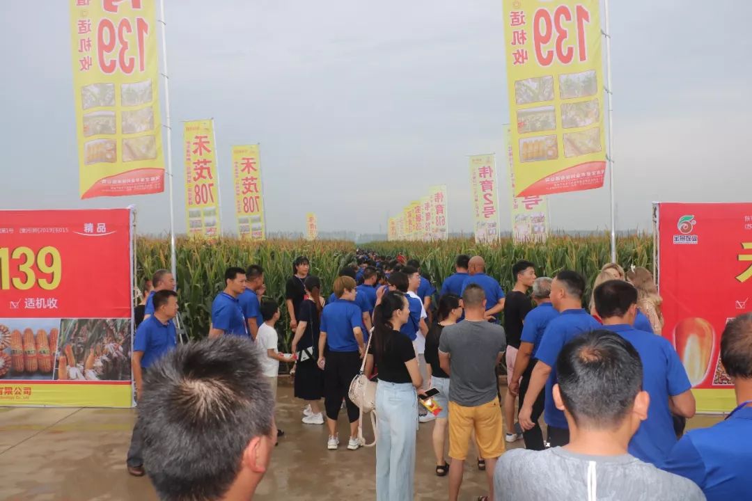 宝景农业,转变思路种地挣钱