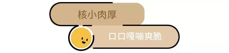 汶川最美紫宝石,汶川最美的紫宝石