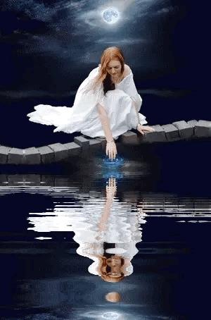 几十张绝美的图,绝美花的倒影100张图片