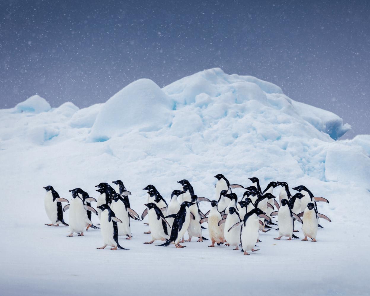 一文搞懂mbti,一文搞懂行政架构