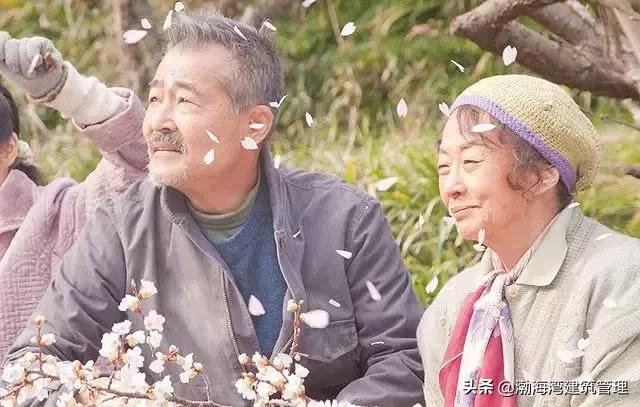 靠捡树叶年入千万的事儿，在日本这个小镇……