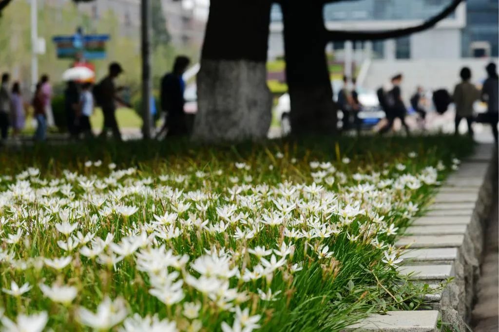 湖北工业大学校园面貌怎么样,湖北工业大学风景