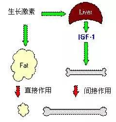 名老中医曾桂芳,曾桂芳老中医视频