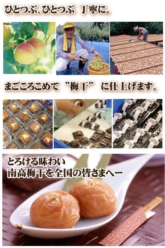 日本这个村种梅子每户年收16万，还种出了“世界文化遗产”