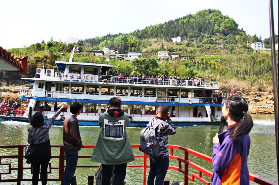 神农溪景区直播,巴东神农溪旅游直播