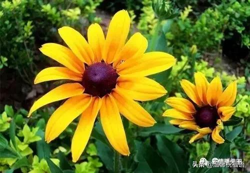 《家庭兴旺歌》《和谐歌》《夫妻歌》太绝了!句句精辟