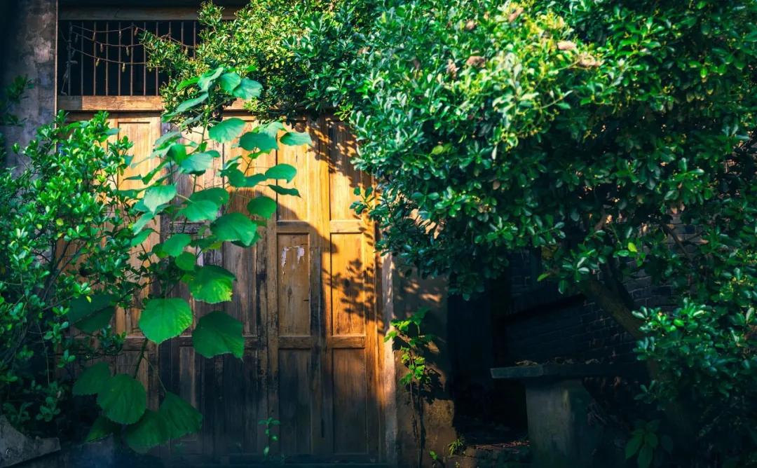 石家庄哪个区适合居住,石家庄哪个区最适宜居住