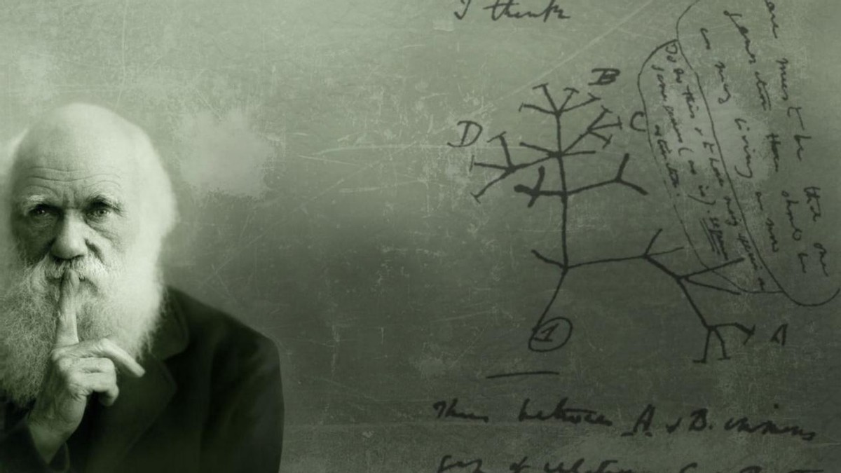 地球有过高级史前文明吗,史前地球出现过高等文明吗