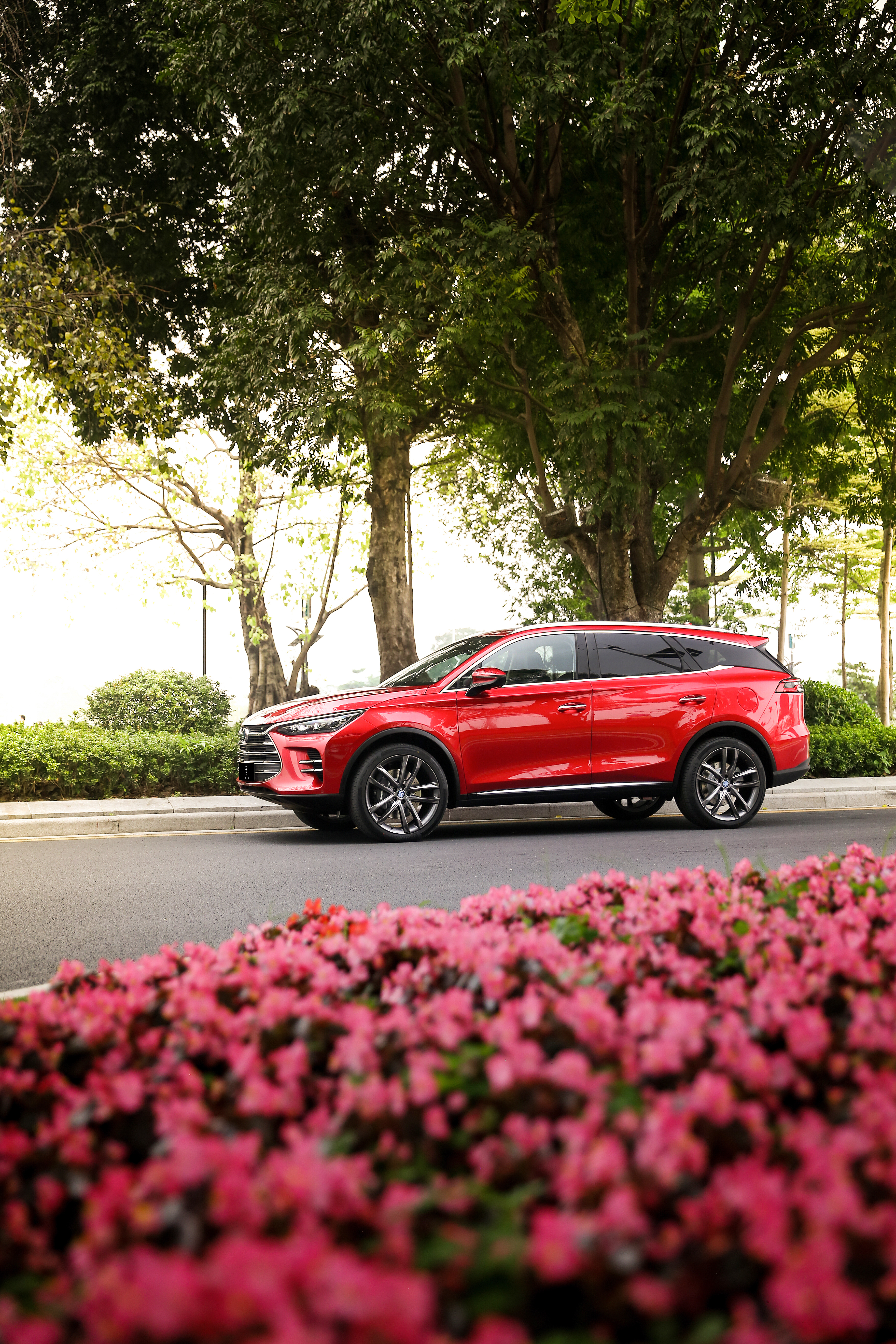 比亚迪唐dm-i和宋plusdmi买哪个,比亚迪宋plusdm-i对比唐dm-i