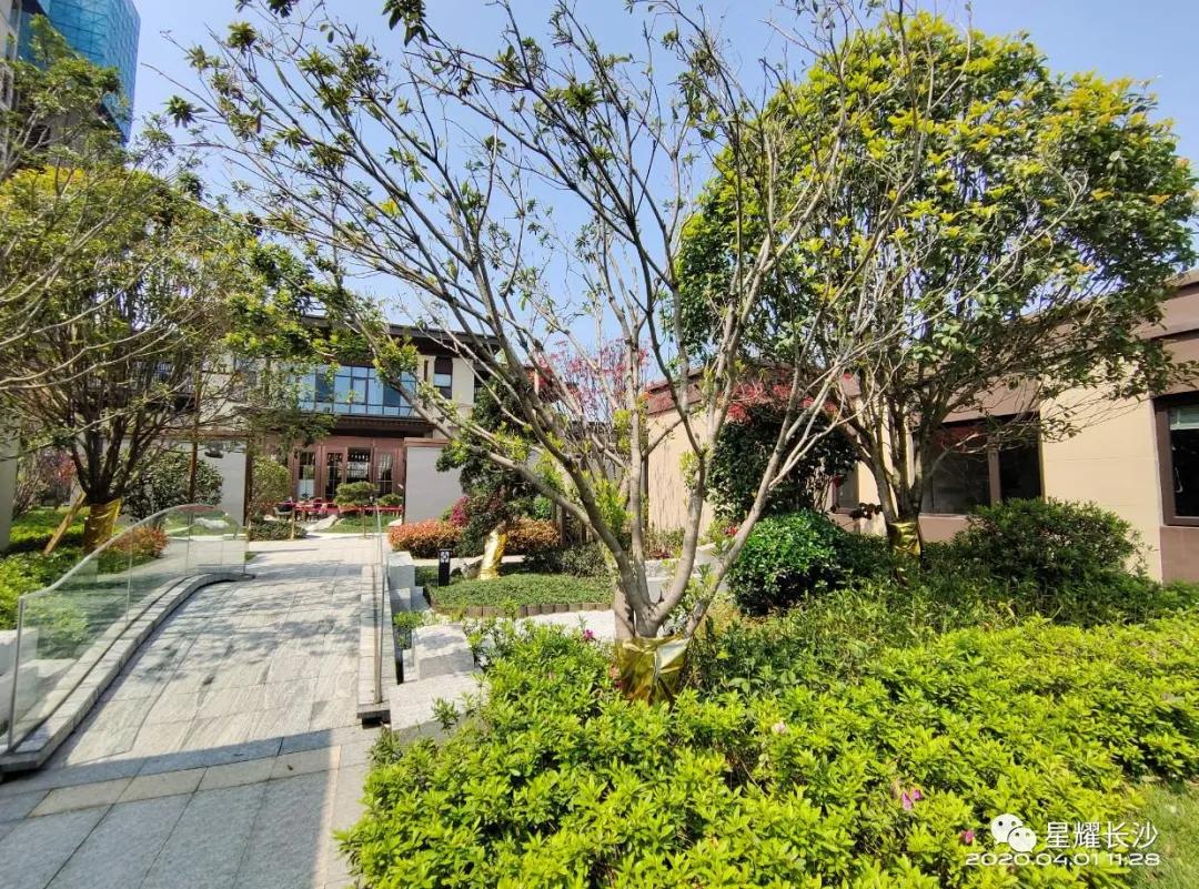 盯紧！长沙又一个价值爆点！地铁口，临湘江，均价仅6398