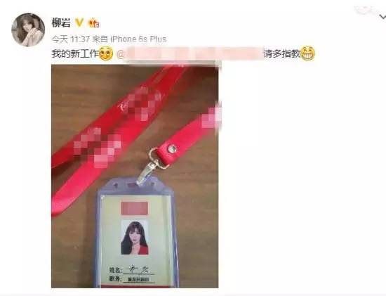 为什么柳岩是酒仙网形象代表,柳岩酒仙