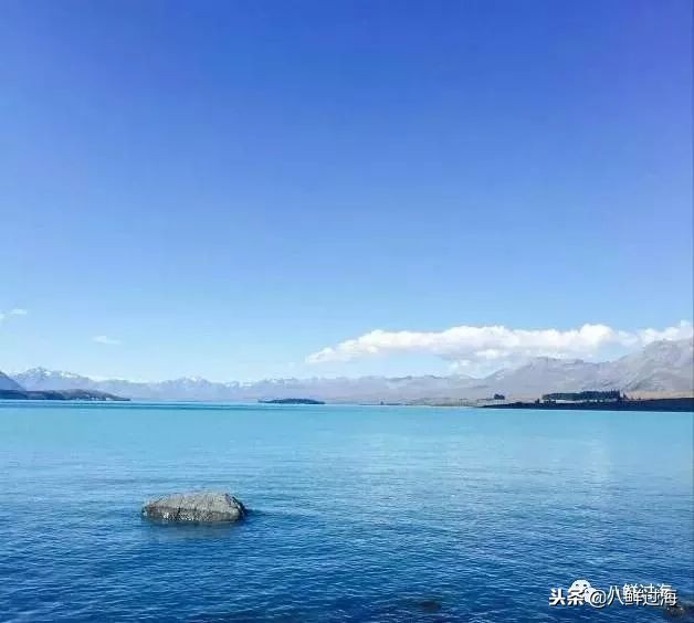 引入活青口贝、鲜帝王鲑,新西兰海产出口商的新生力量!