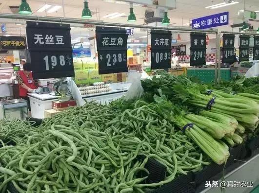 蔬菜行业套路多，种植户、批发商与零售商，哪个环节最容易赚钱