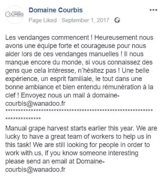 法国葡萄园干活,在法国上班