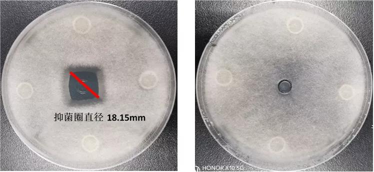 不同源水霉菌区别这么大？怎么有效防治？来看高手详解