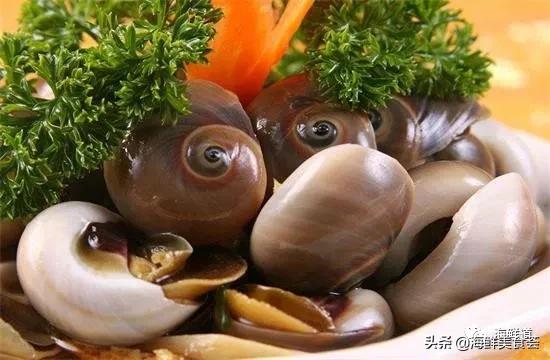 好吃不贵的海鲜种类有哪些,最好吃又最常见海鲜有几种