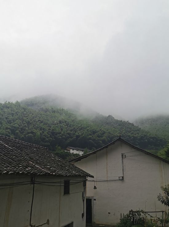 一场烟雨,把人困进仙境!藏在金华南山的这个小村,不求爆红,只求安静邂逅!