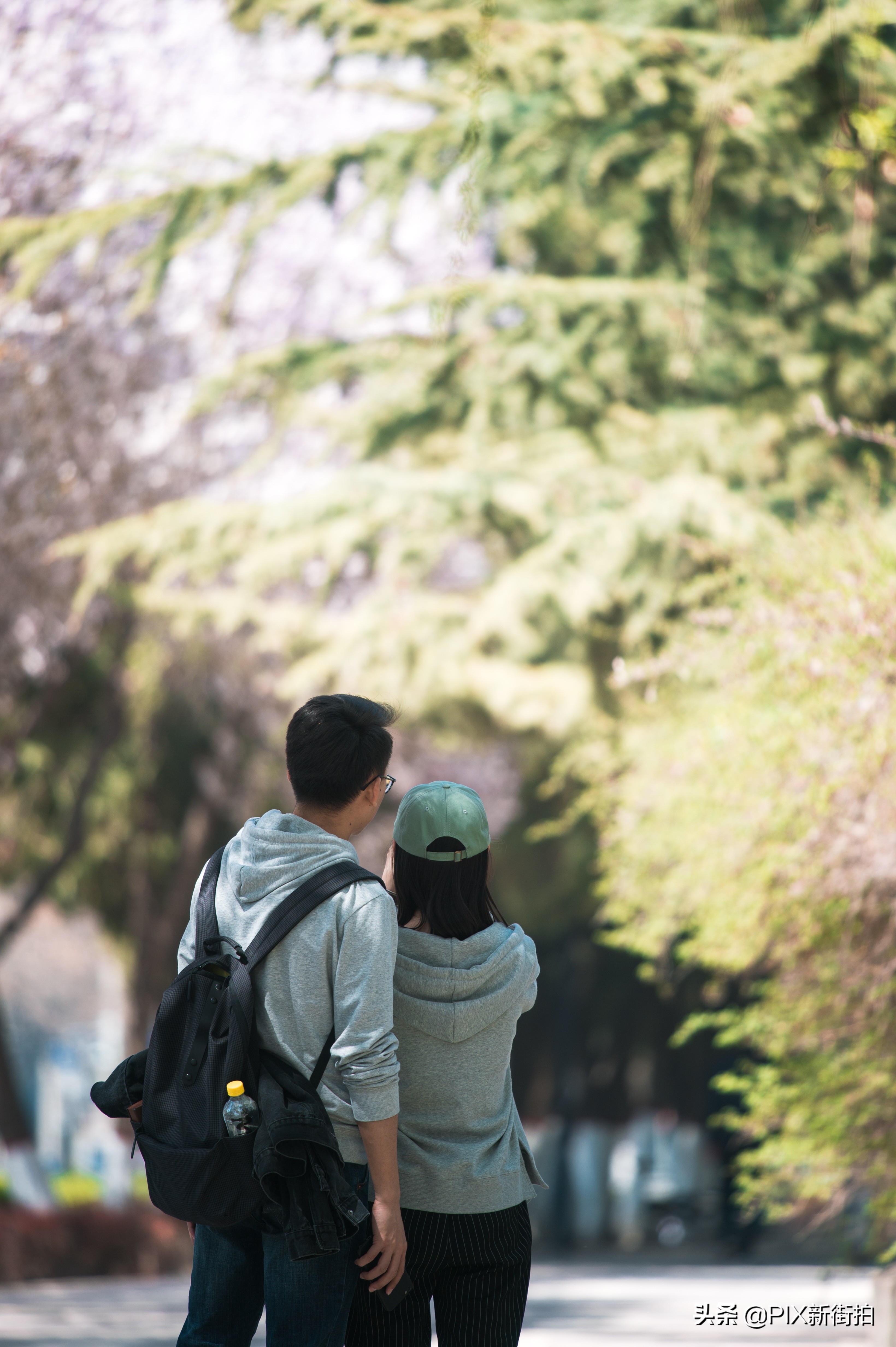 尼康70-300mmf4.5-6.3画质测评,尼康70-300和70-200f4的选择