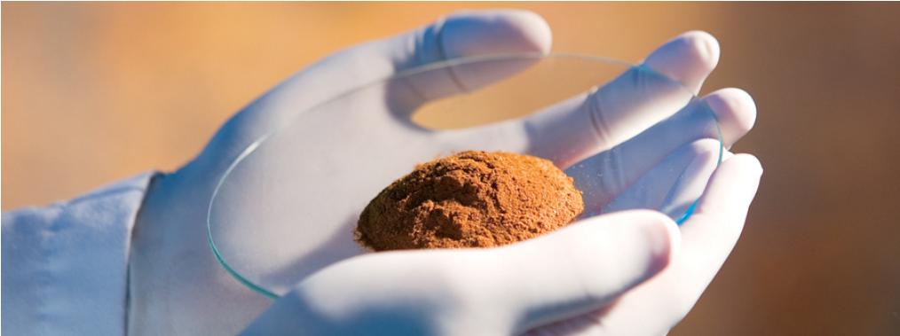 益生菌的发展前景,益生菌新零售好做吗