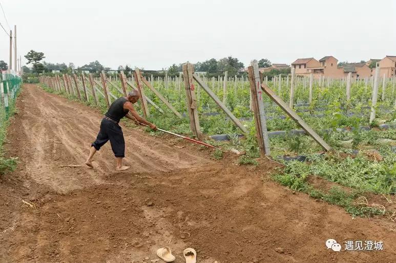 好运古建澄城图片,澄城县好运古建
