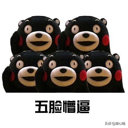 海淘攻略完整版,海淘购物攻略小白教程