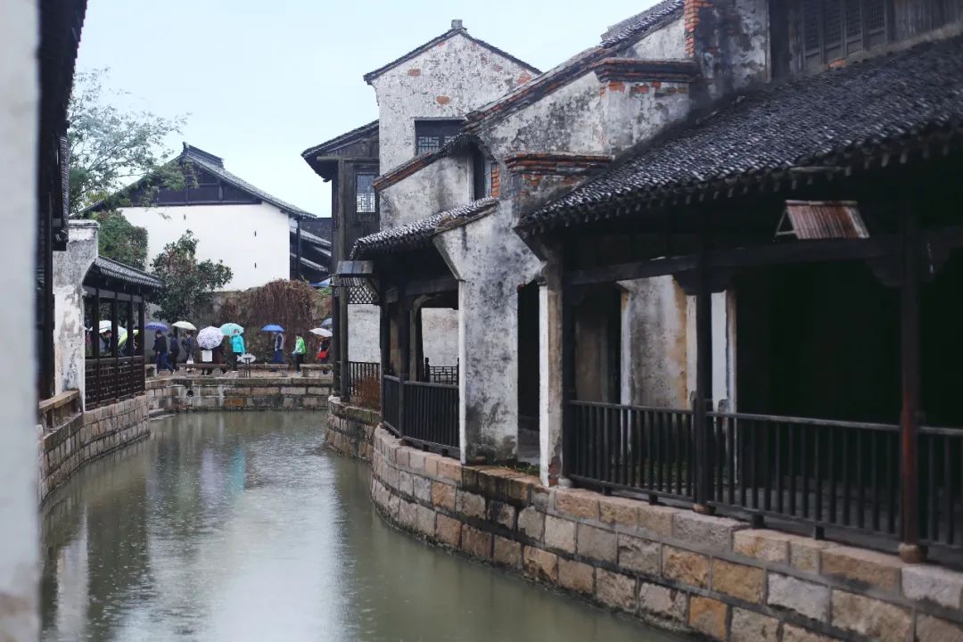 常熟大闸蟹和阳澄湖大闸蟹,沙家浜大闸蟹是阳澄湖大闸蟹吗