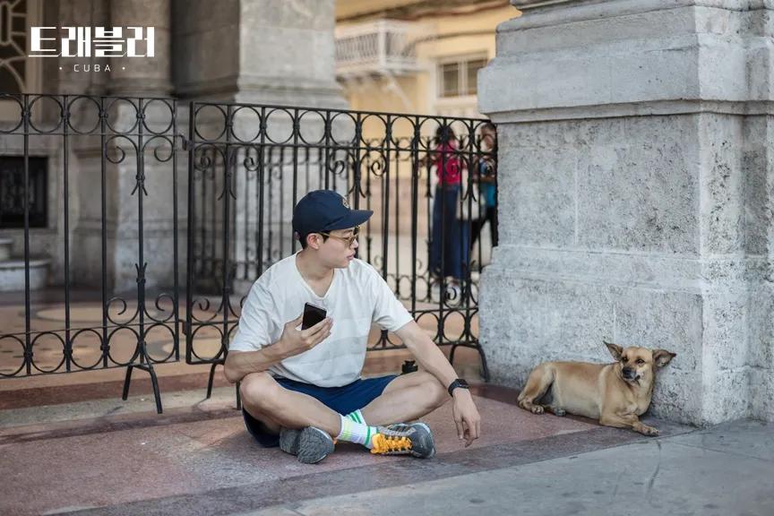 除了《乘风破浪的姐姐》,不出门的日子你也可以看看这些神仙综艺